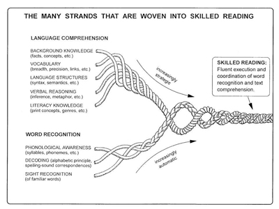 Strands of Reading diagram