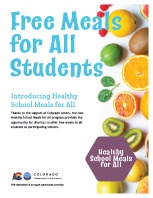 Healthy School Meals for All English flier icon 