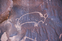 Native American - Buffalo Petroglyph (~100 B.C. to ~1540 A.D.) 