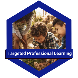Targeted Professional Learning icon
