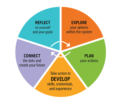 Pie chart has five sections of different stages of career development.  There is no particular beginning or an end, and educators and professionals circulate through the different stages throughout their career.   The parts of the Career Development Cycle are: Reflect on your self and your goals; Explore your options within the system; Plan your actions; Take action to Develop skills, credentials, and experience; Connect the dots and create your future