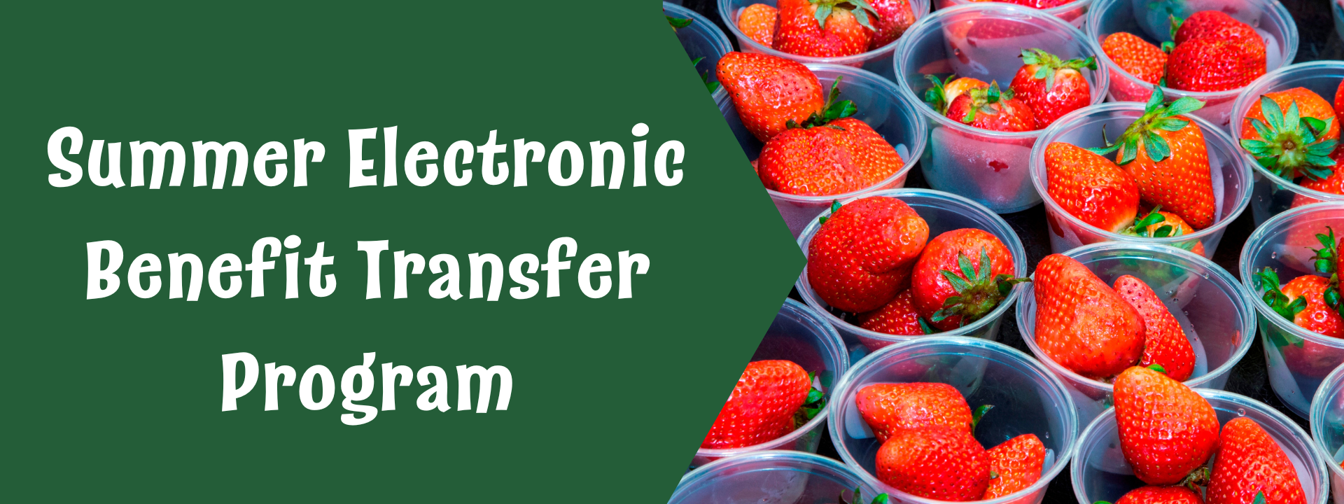 Summer Electronic Benefit Transfer Program