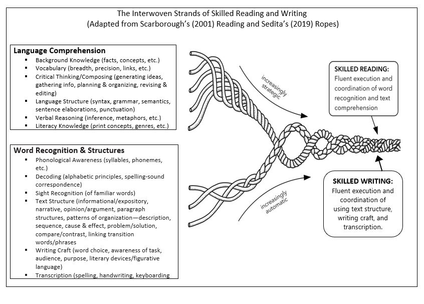 The Interwoven Strands of Skilled Reading and Writing Rope overlays Scarborough's Reading Rope with Sedita's Writing Rope. There are eight strands total. Five that show the interconnection between language comprehension and writing and three that show the interconnection between word recognition and writing. The Interwoven Rope is intended to demonstrate the write-read connection to support skills students need for demonstrate literacy proficiency.