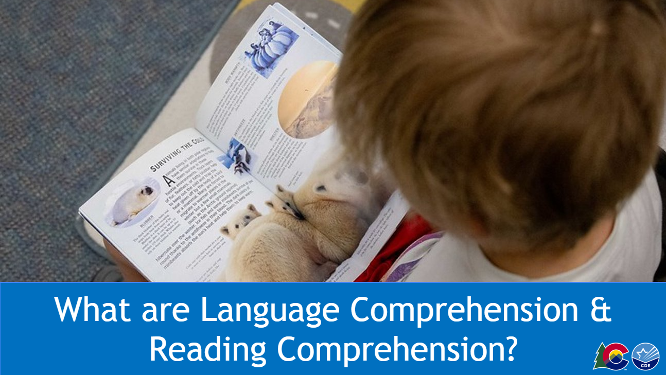 Image of child reading a book