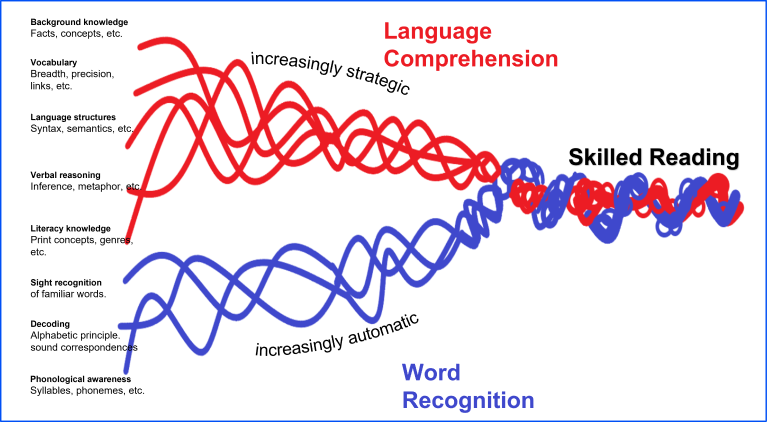 The top portion of the rope detail the skills needed in the language comprehension category shown here in red. These skills are background knowledge, vocabulary, language structures, verbal reasoning, and literacy knowledge. The word recognition or word reading skills are phonological awareness, decoding, and sight recognition. 