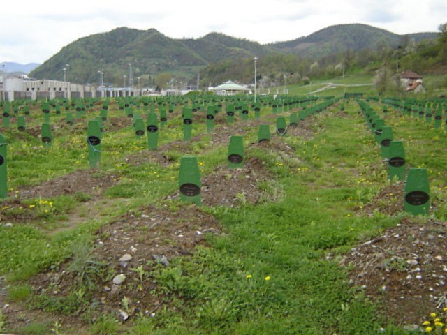 The Srebrenica Genocide Memorial, officially known as the Srebrenica–Potočari Memorial and Cemetery for the Victims of the 1995 Genocide, is the memorial-cemetery complex in Srebrenica set up to honour the victims of the 1995 Srebrenica massacre.