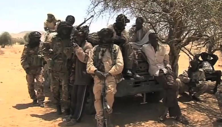 Government-backed militia group in support of Janjaweed perpetrators