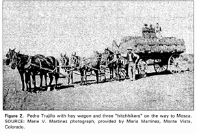 Pedro Trujillo with hay wagon and three “hitchhikers” on the way to Mosca.
