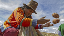 Breathing New Life into Inca Farming Practices