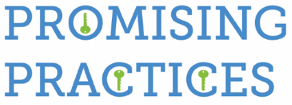 Promising Practices