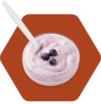 Cup of yogurt with blueberries
