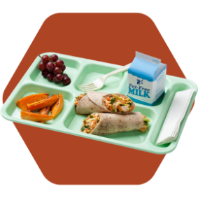 Food tray with healthy lunch