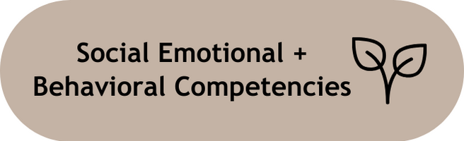 Social Emotional and Behavioral Capabilities - The knowledge, skills, attitudes, and actions that promote positive human development and interaction.